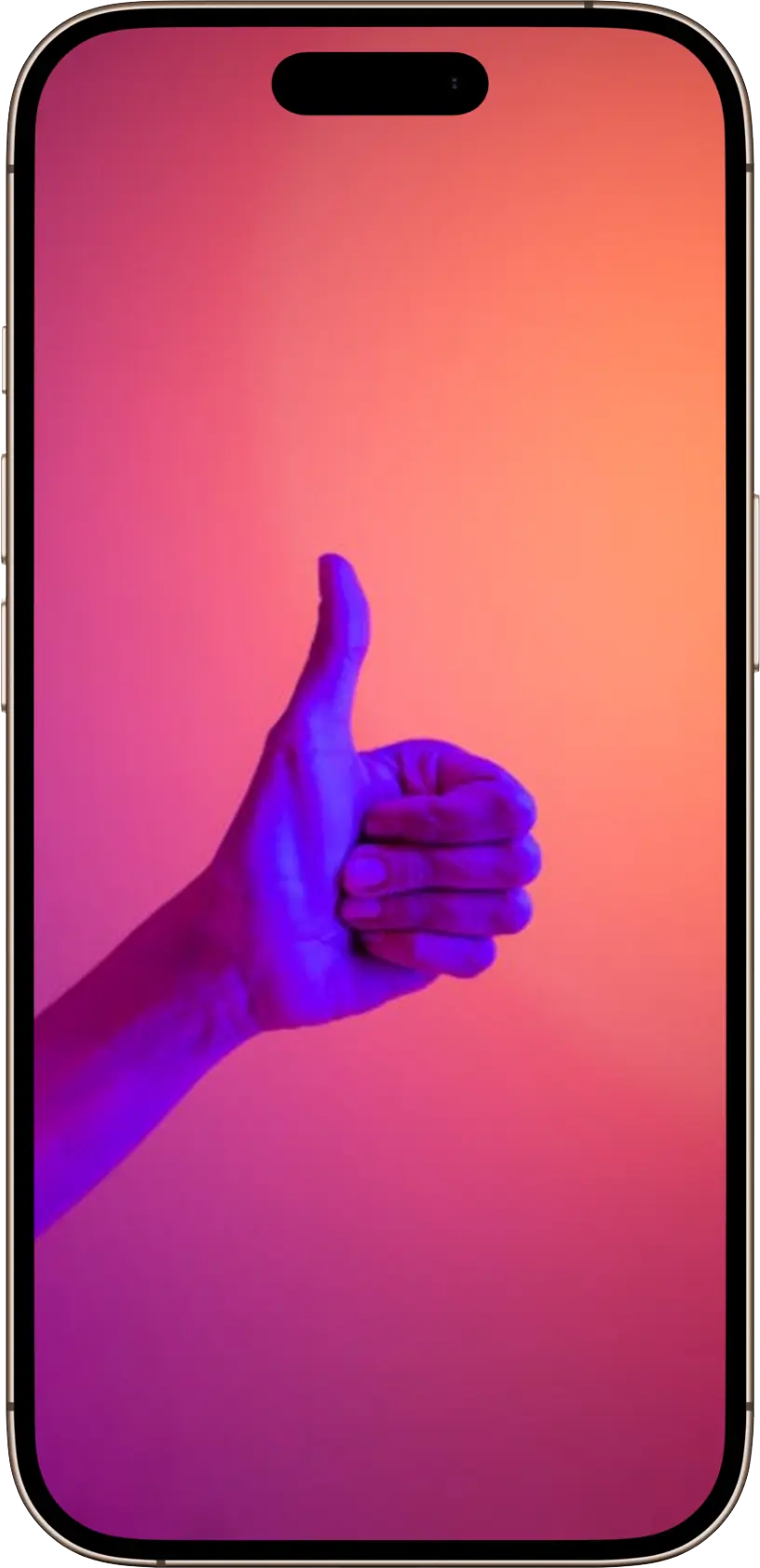 Instafinsta video downloader